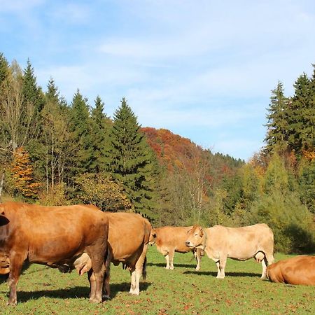 Urlaub mitten im Wald - Lueg Scheibbs Exterior foto