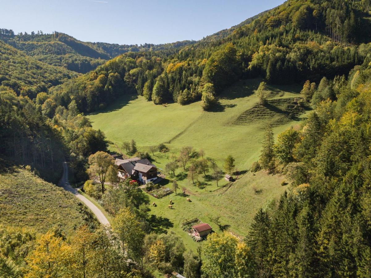 Urlaub mitten im Wald - Lueg Scheibbs Exterior foto