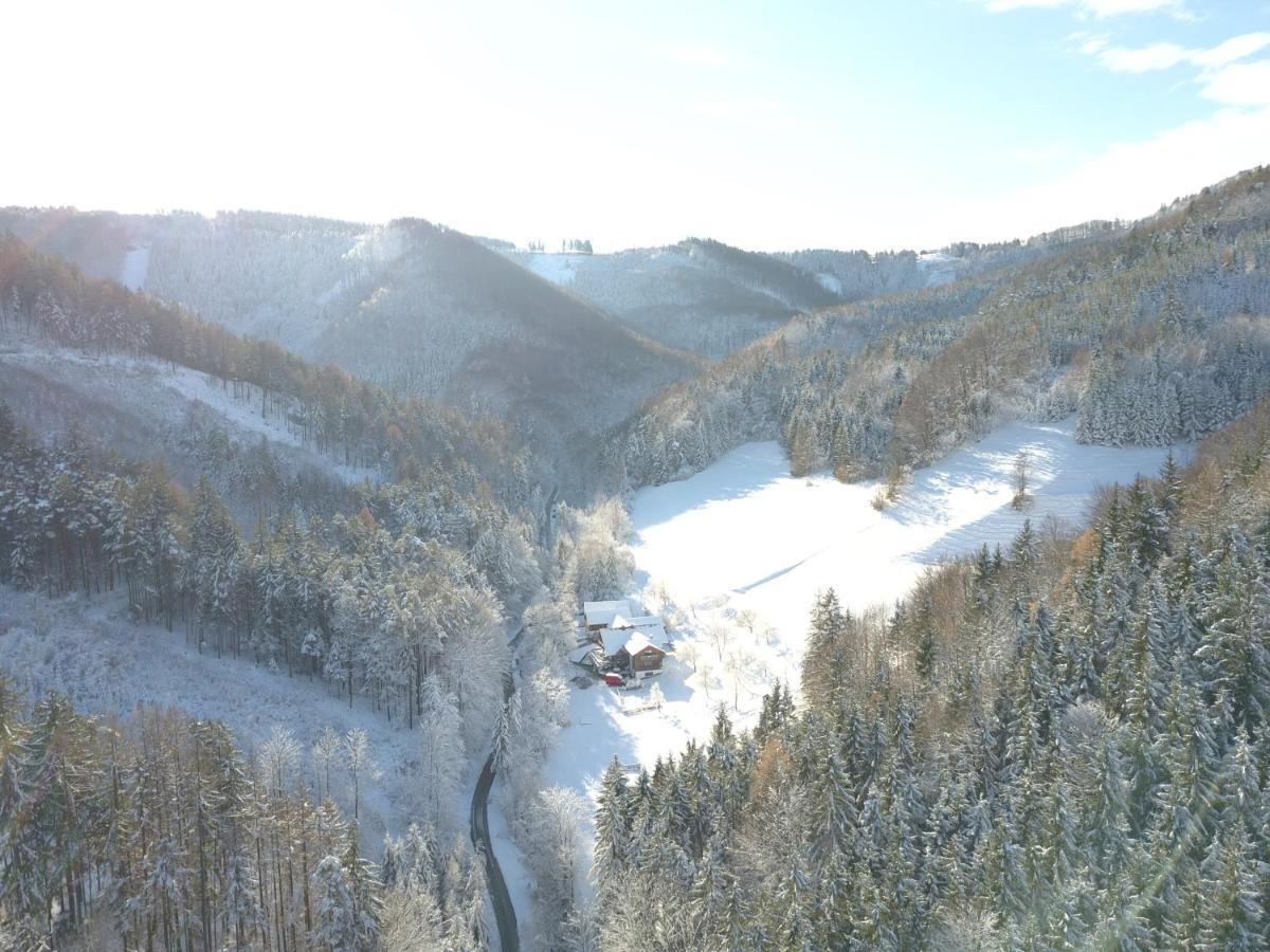 Urlaub mitten im Wald - Lueg Scheibbs Exterior foto